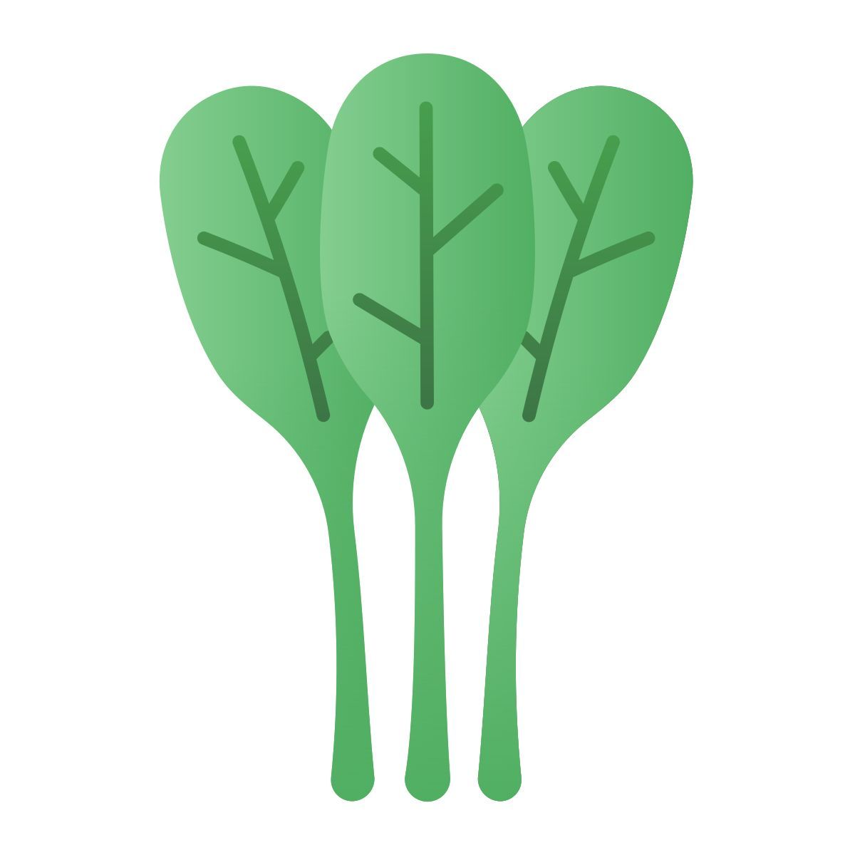 spinach icon