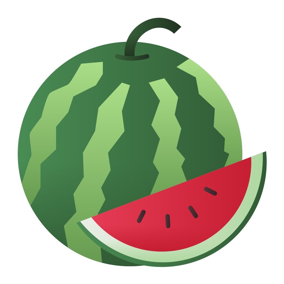 wassermelone icon