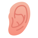 external biologyhealth-human-organ-flat-gradient-flat-gradient-andi-nur-abdillah-15 icon