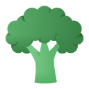 external brocoli-vegetable-and-fruit-flat-gradient-flat-gradient-andi-nur-abdillah icon