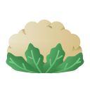 external cauliflower-vegetable-and-fruit-flat-gradient-flat-gradient-andi-nur-abdillah icon
