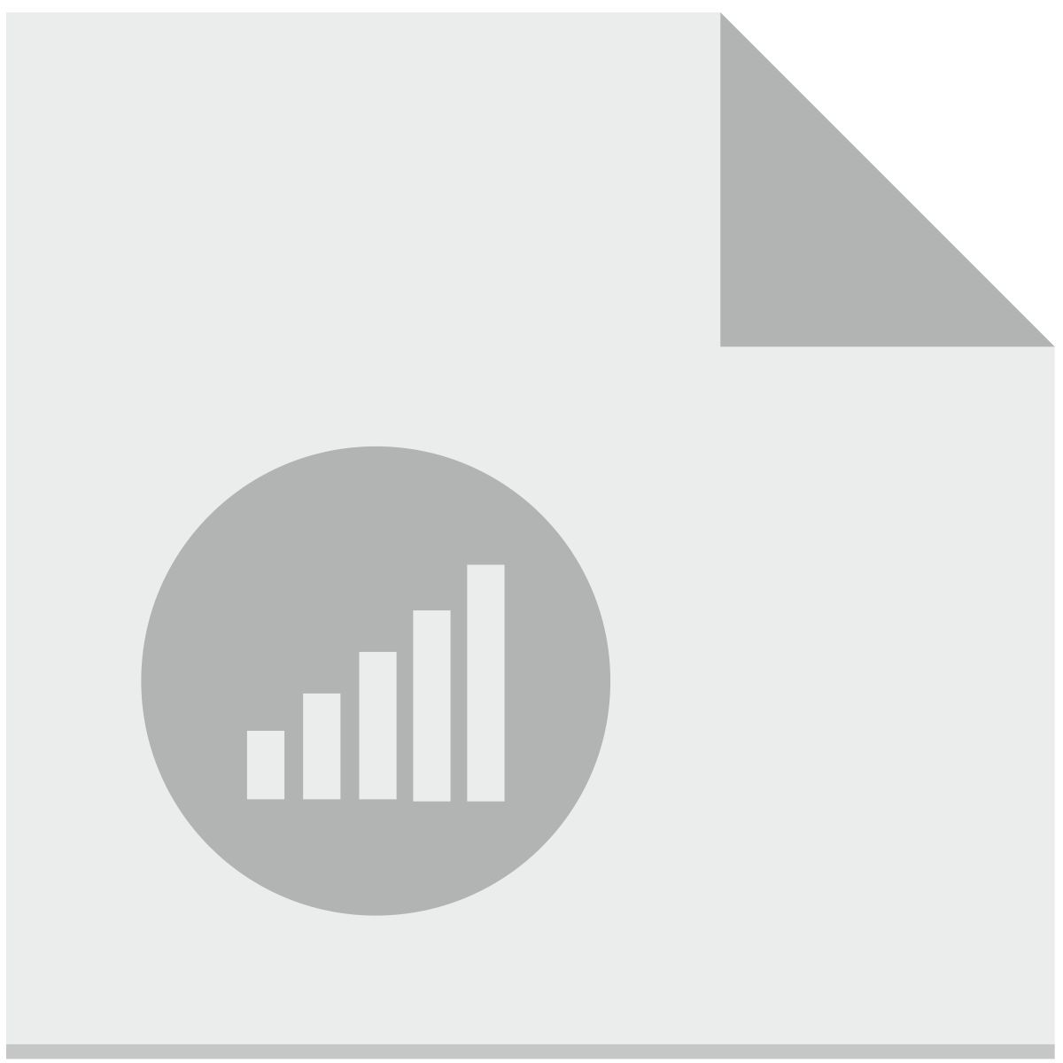 access file icon