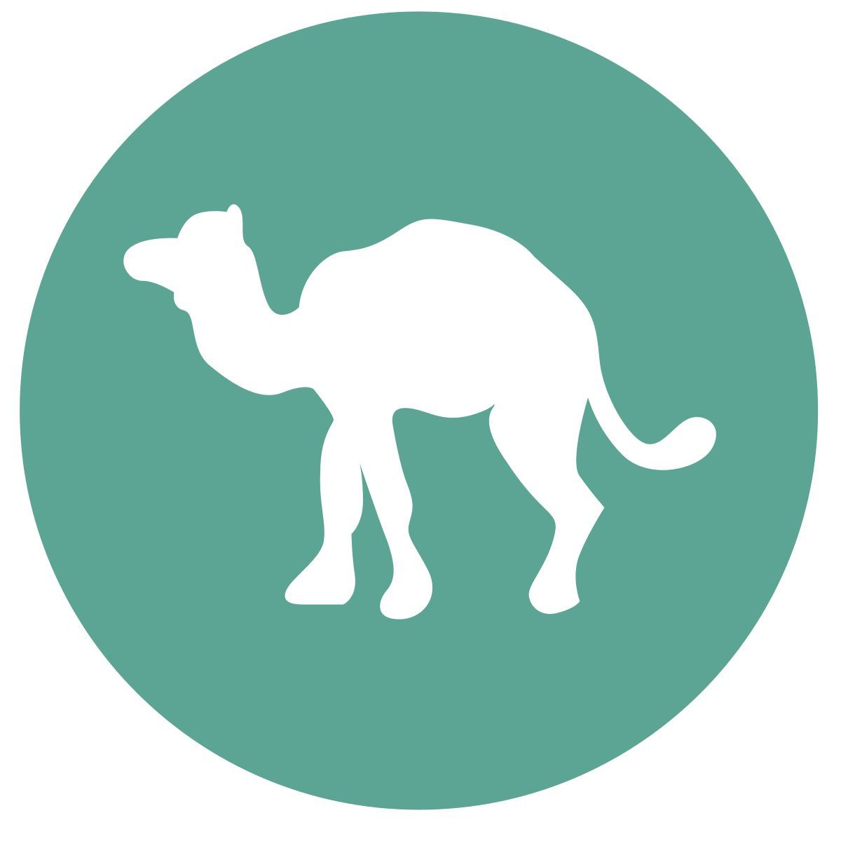 camel icon