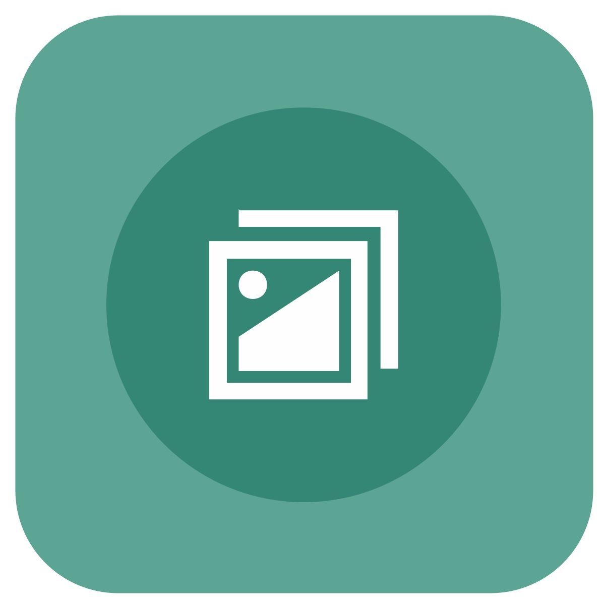 duplicare icon