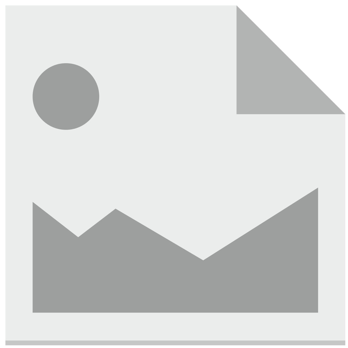 image icon