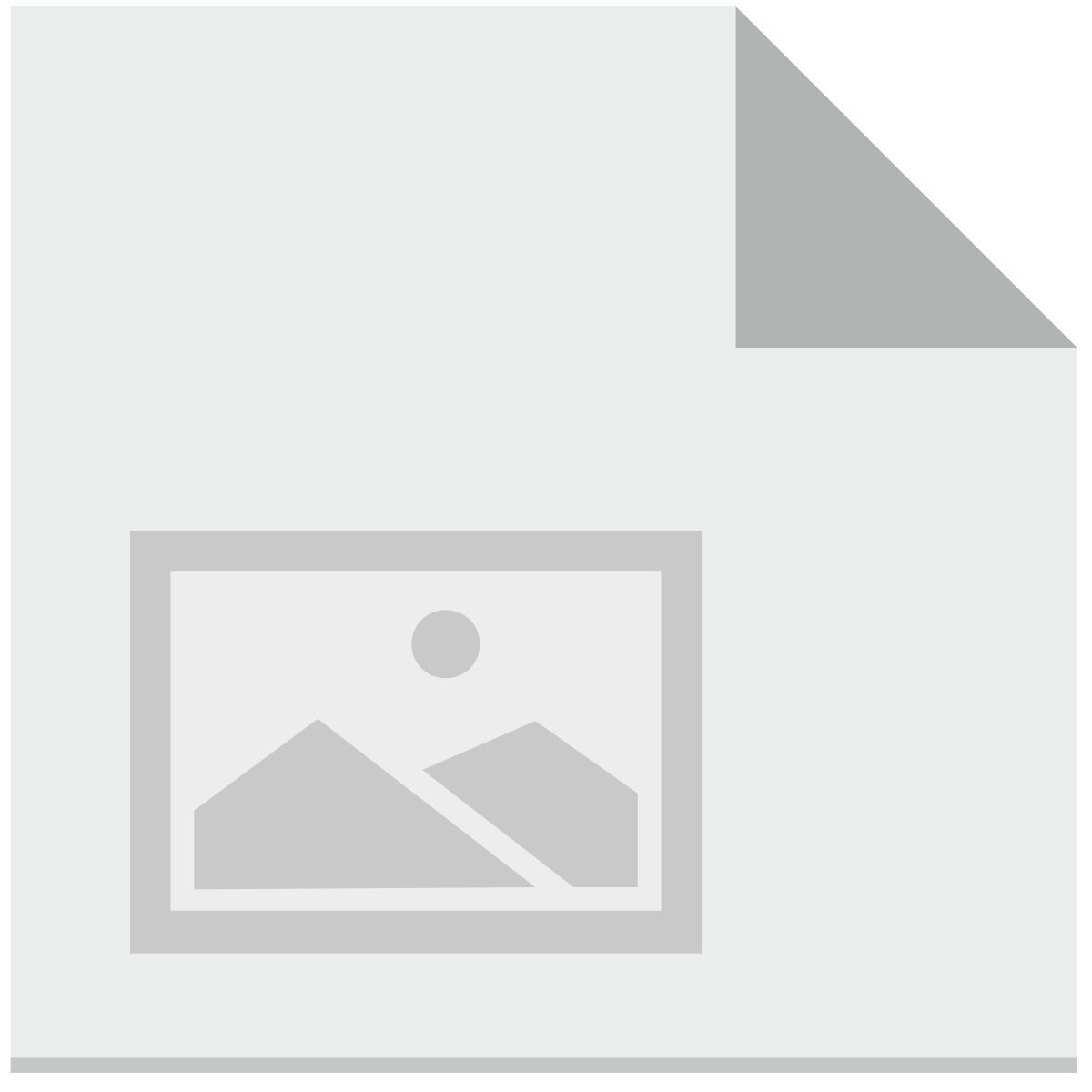 image icon