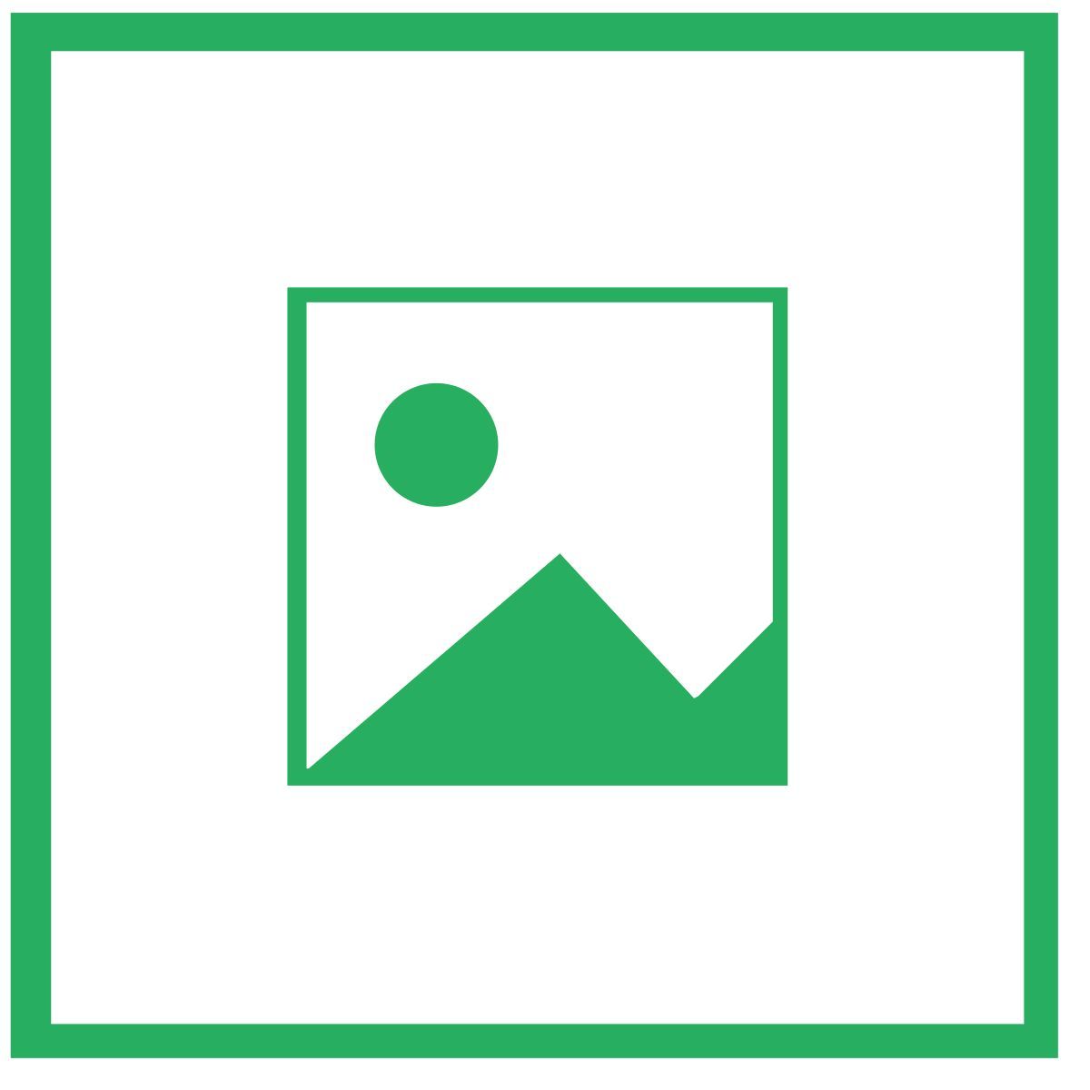 Image icon