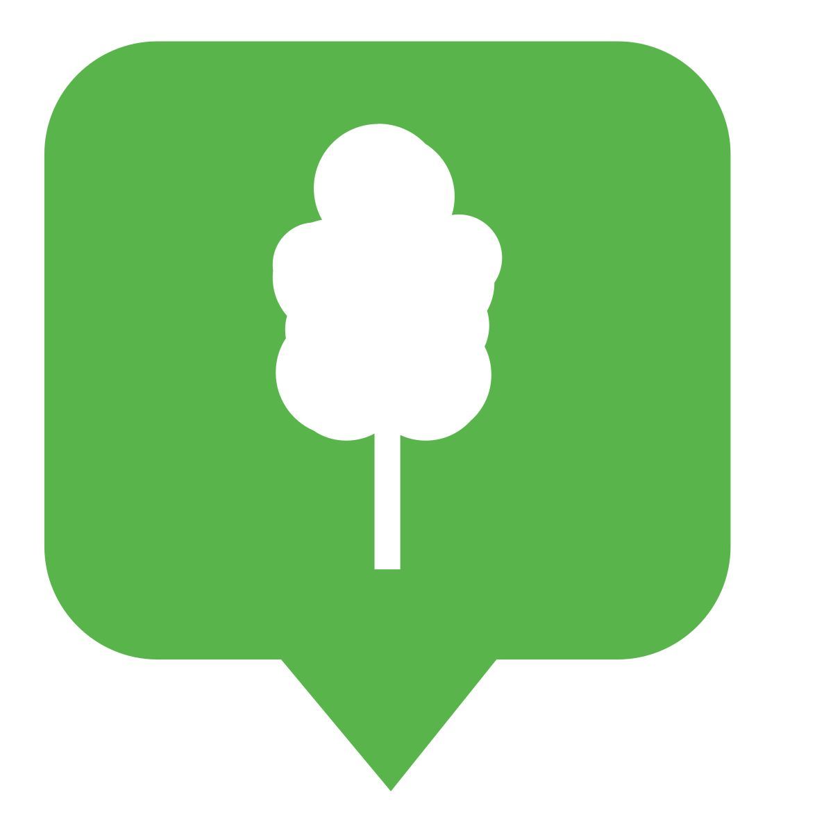 oak tree icon