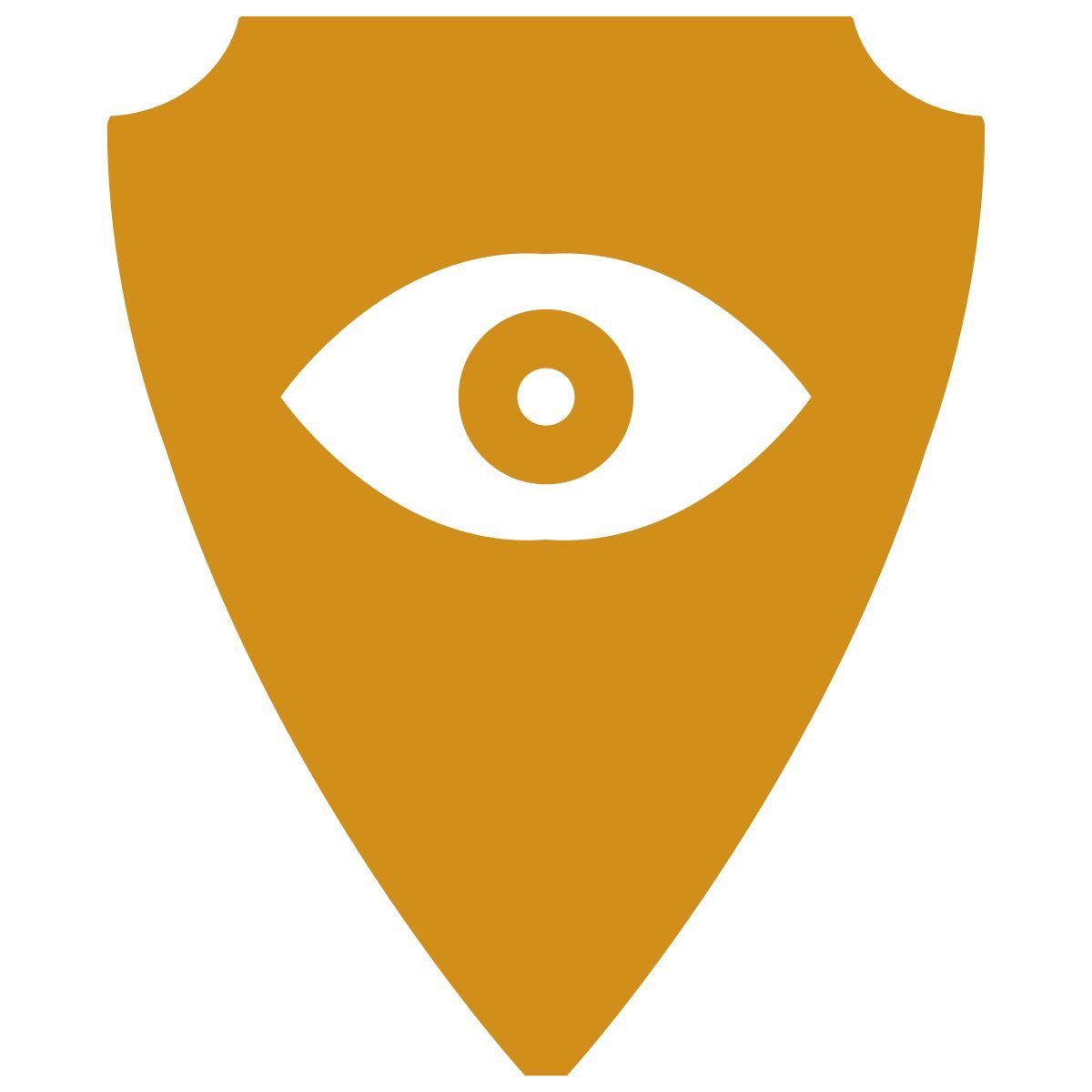 shield icon
