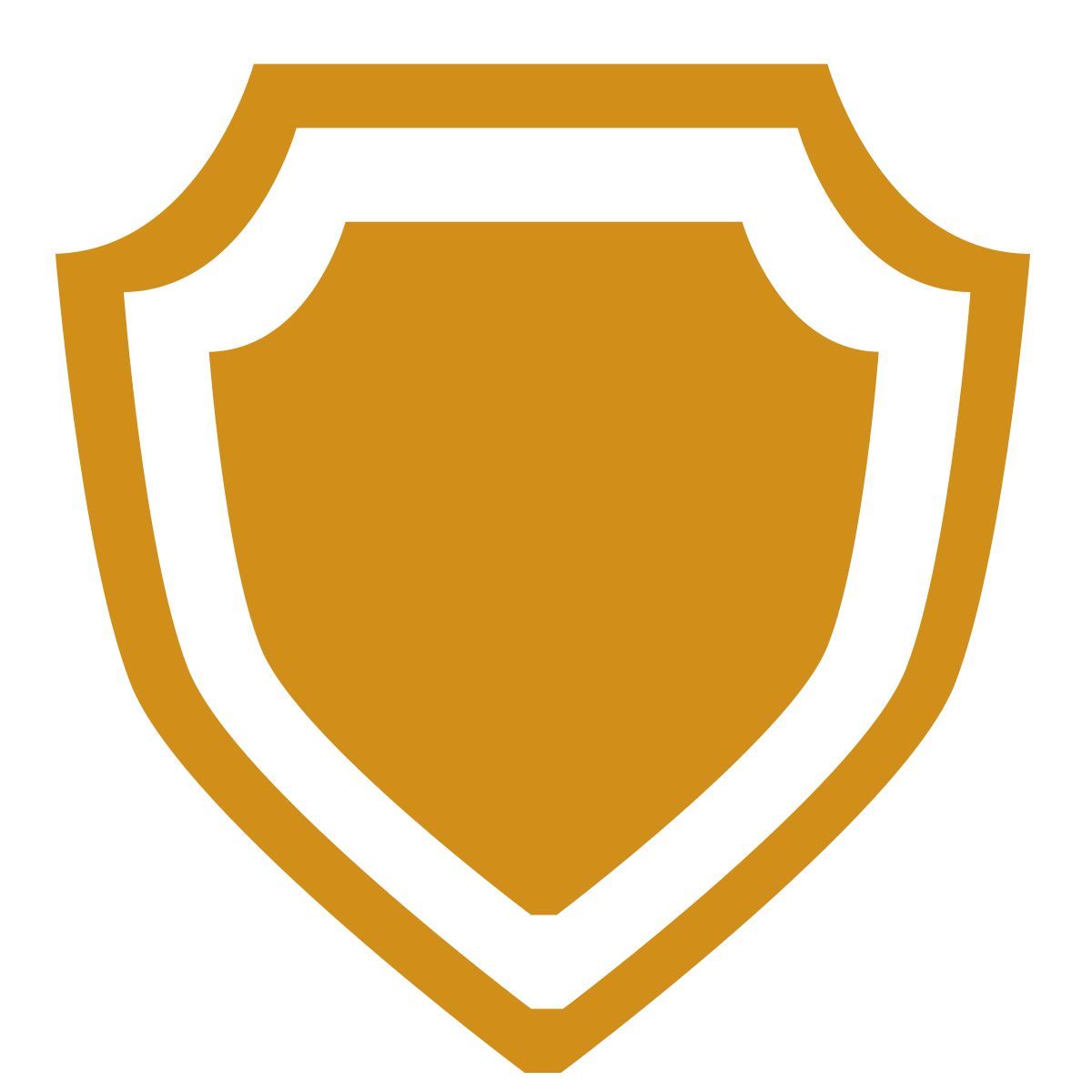 shield icon