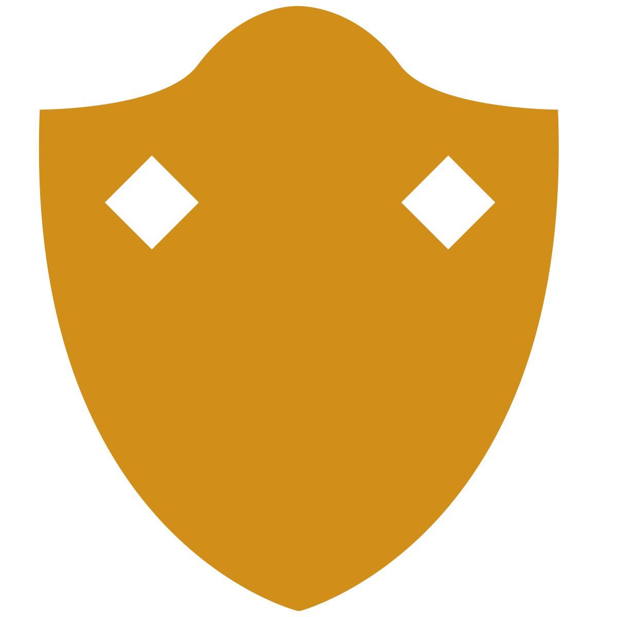 shield icon