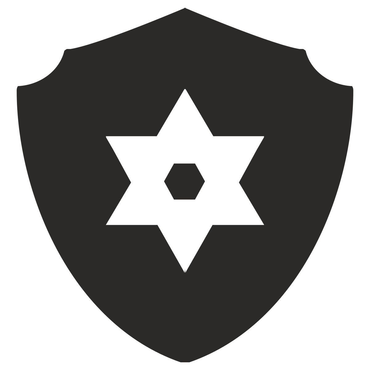 shield icon