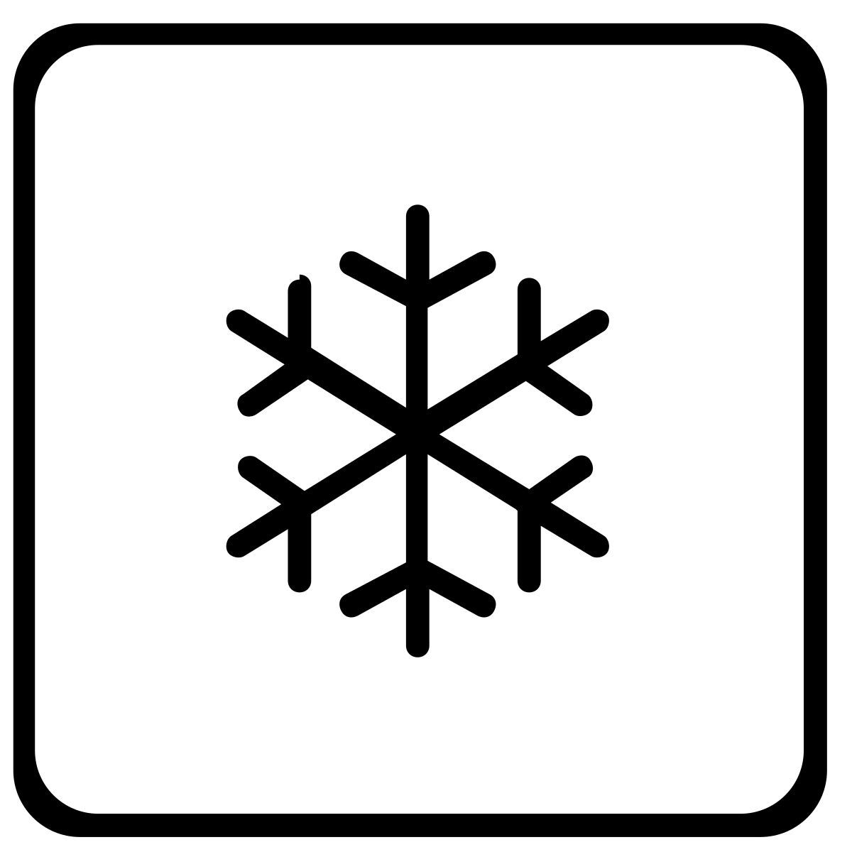 snowflake icon