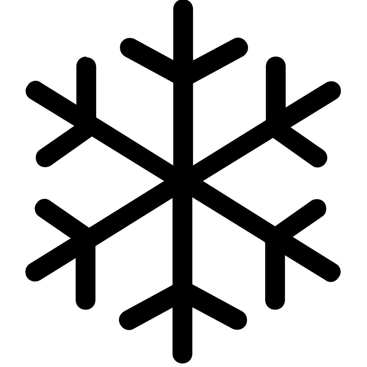 snowflake icon