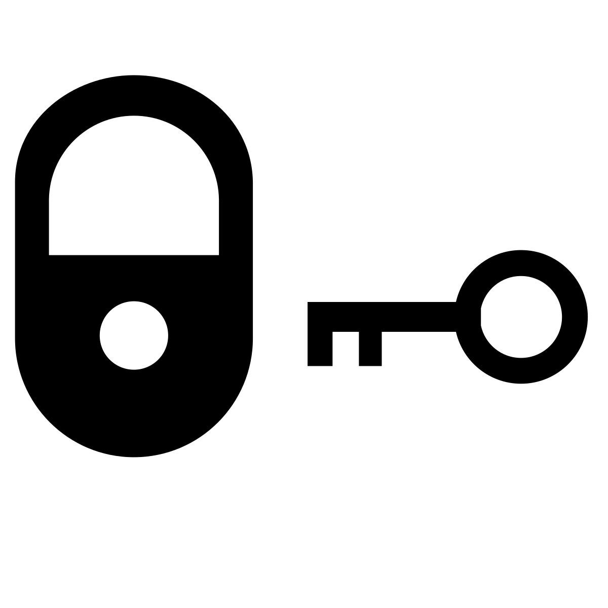 access icon