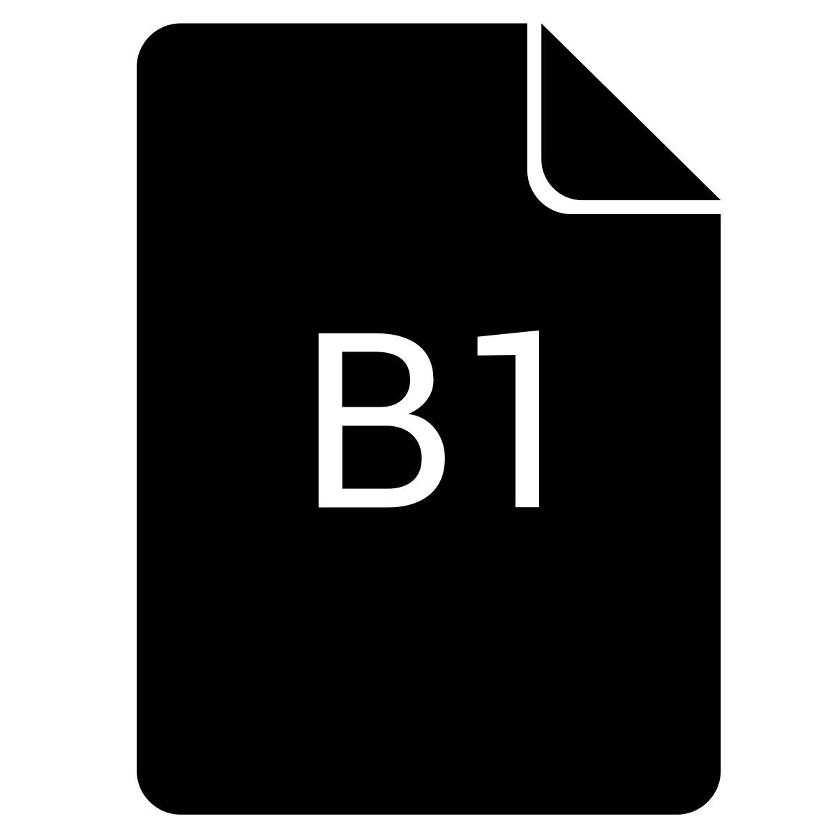 b1 icon