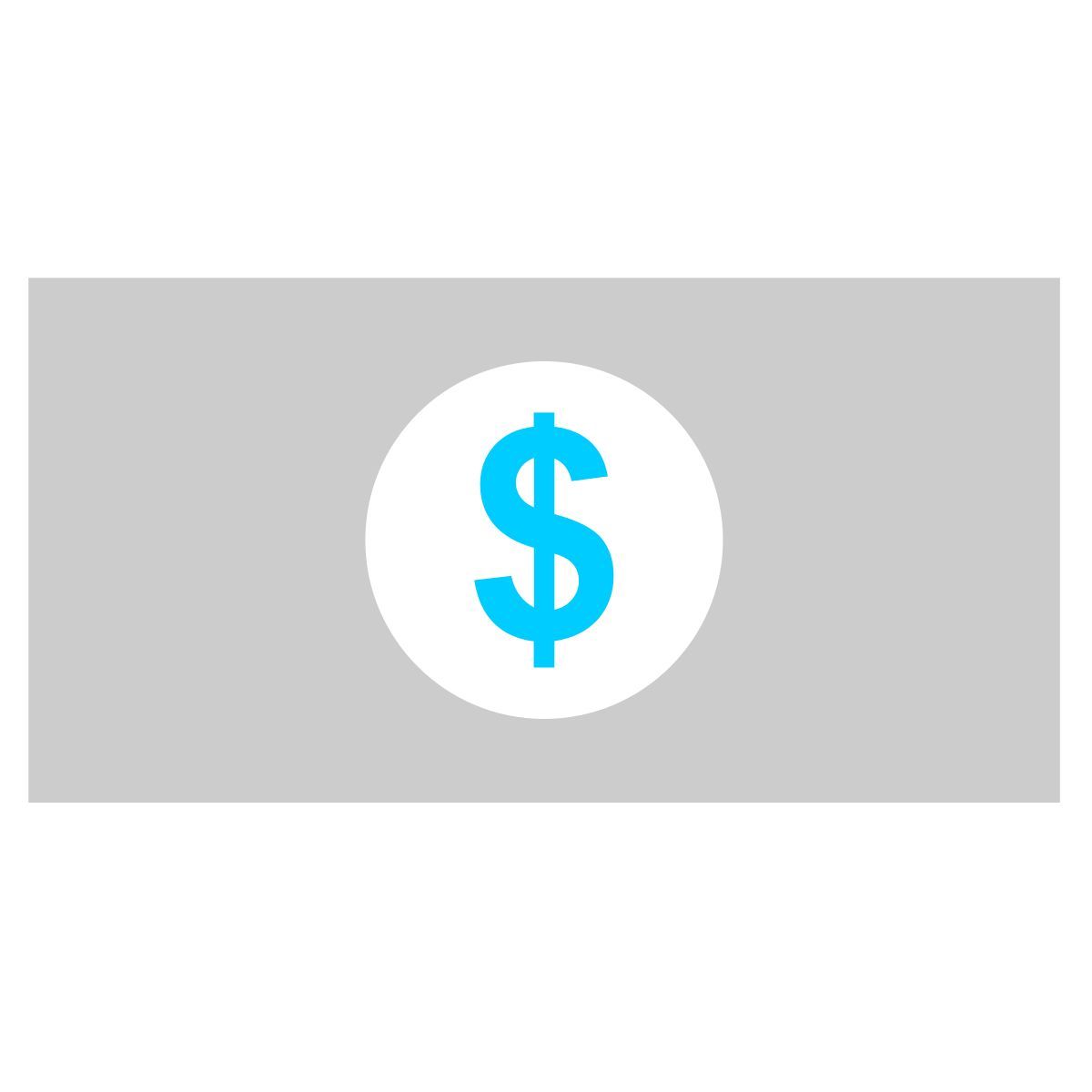 cash icon