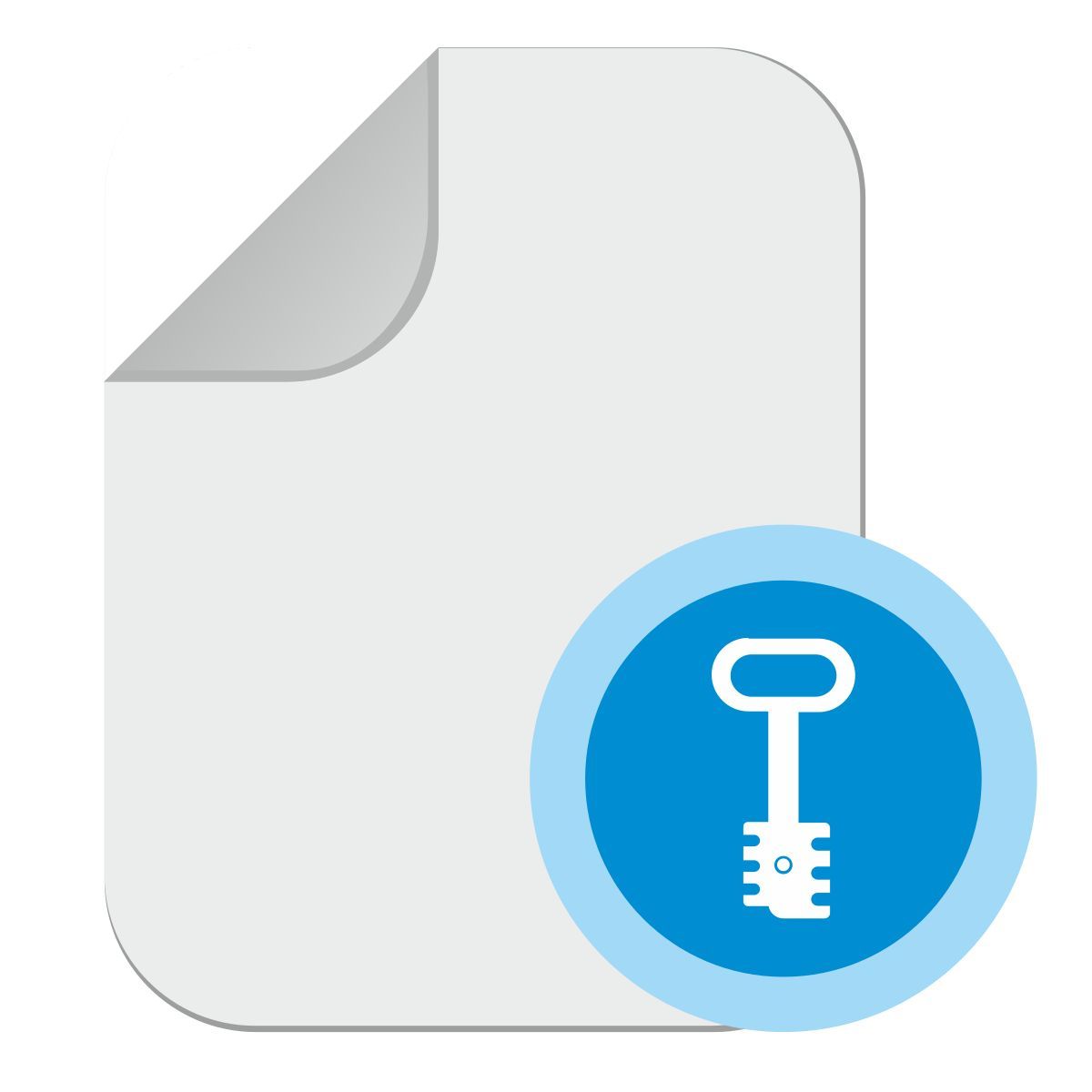 doc key icon