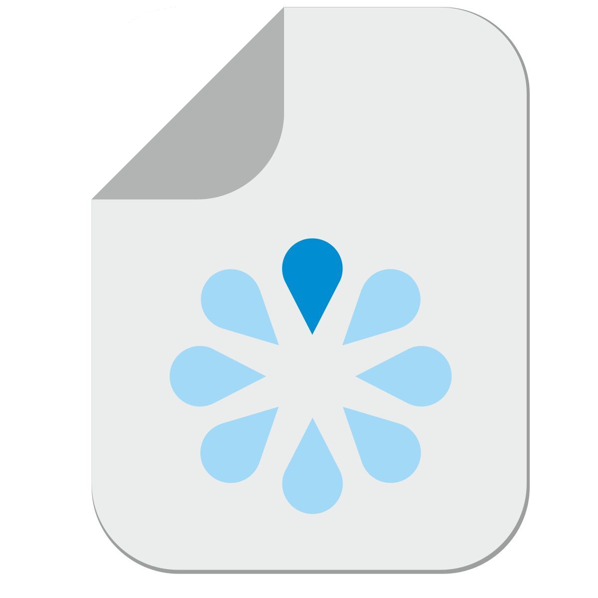 document icon