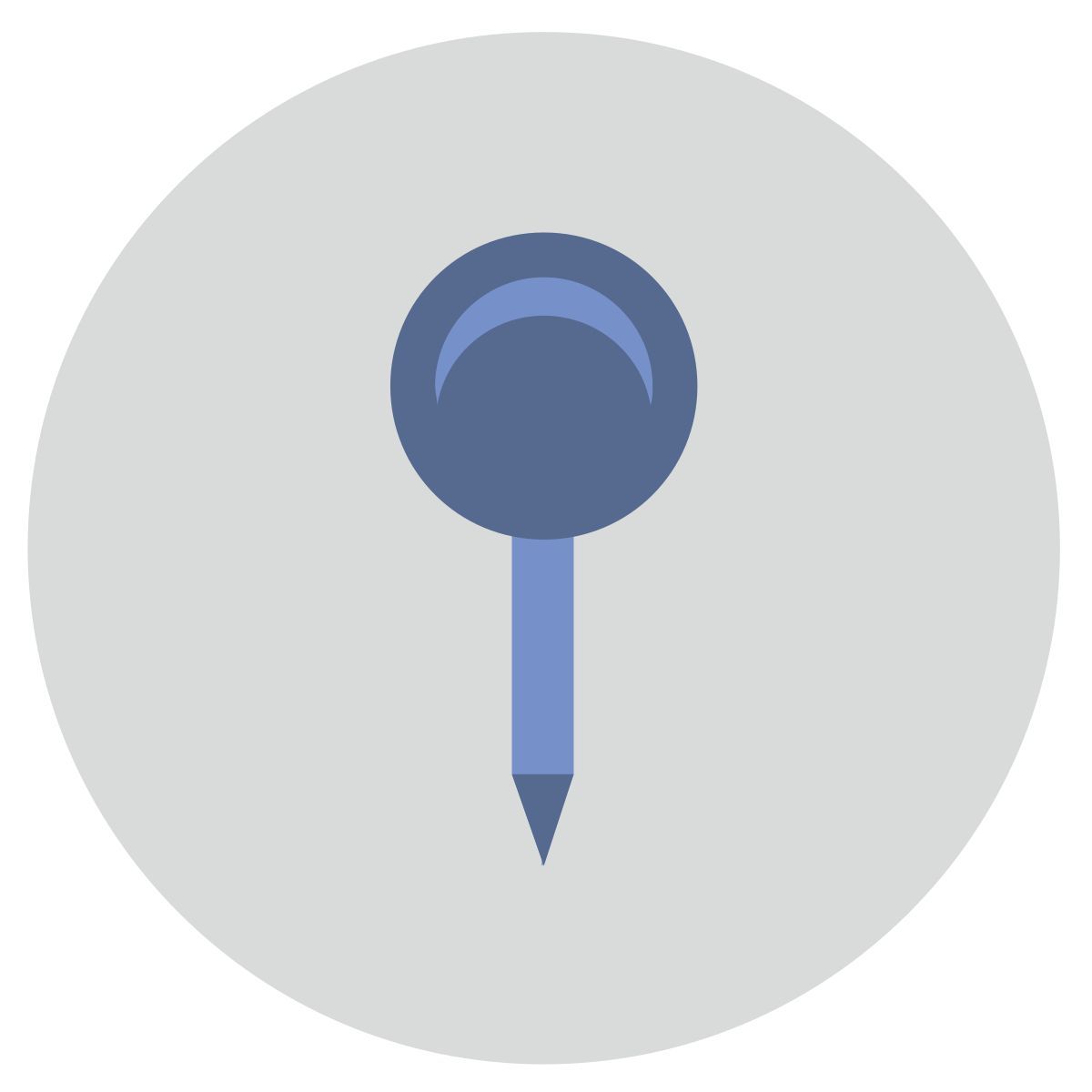 pin icon