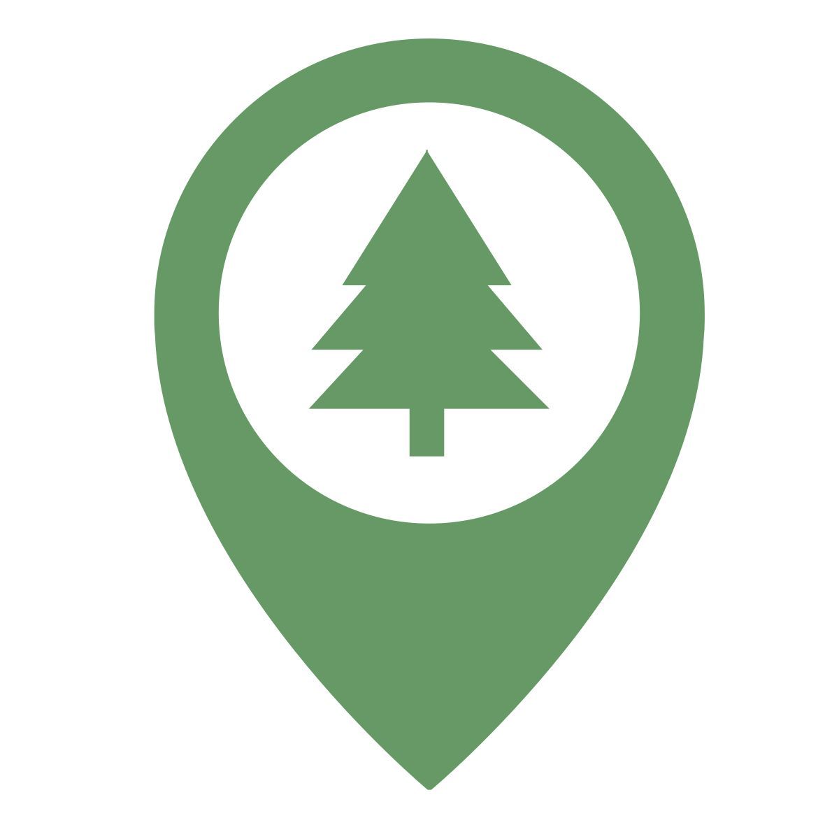 fir icon