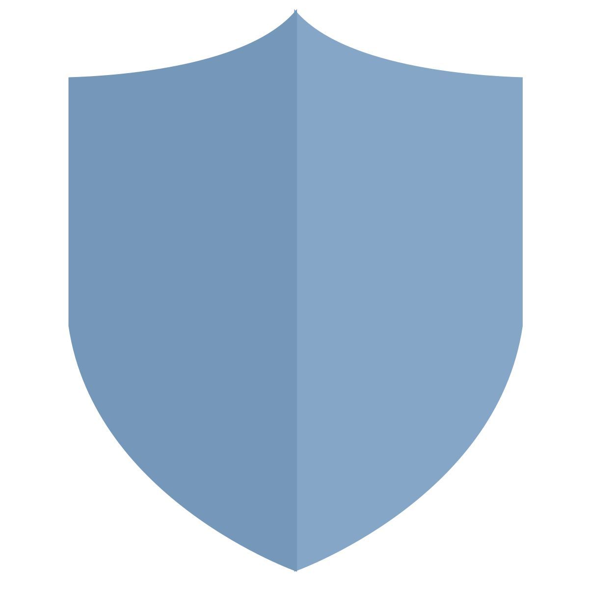 shield icon