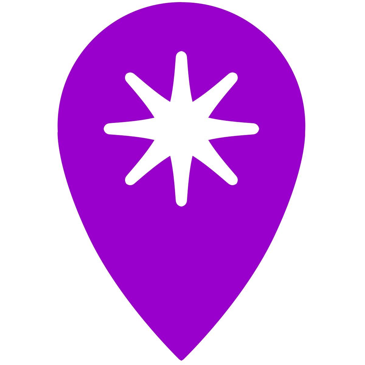 geo icon