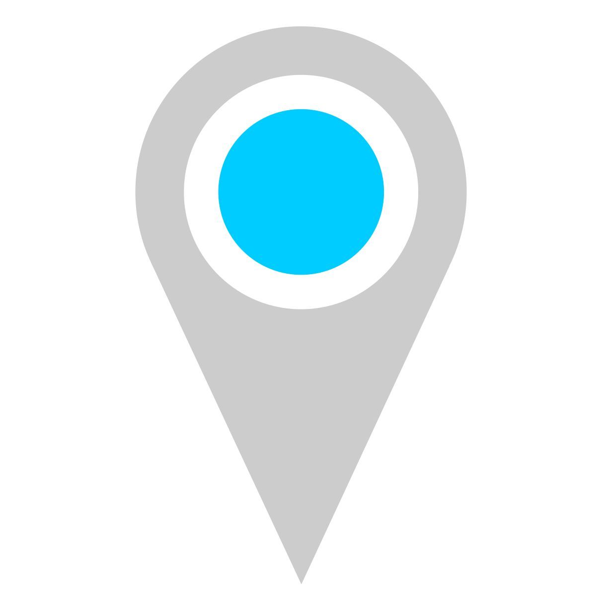 geo icon