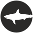 external danger-shark-flat-icons-inmotus-design-5 icon