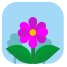 external flower-seasons-nature-flat-icons-inmotus-design-2 icon
