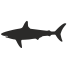 external form-shark-flat-icons-inmotus-design icon