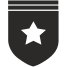 external insignia-army-flat-icons-inmotus-design icon