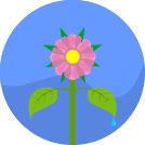 external Flower-plants-flat-icons-inmotus-design-3 icon