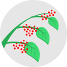 external Red-Berries-plants-flat-icons-inmotus-design icon