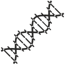 external biology-genome-code-flat-icons-inmotus-design-7 icon