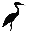 external bird-birds-flat-icons-inmotus-design-4 icon