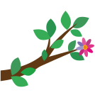 external branch-colored-flowers-flat-icons-inmotus-design icon