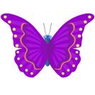 external butterfly-colored-butterfly-flat-icons-inmotus-design-2 icon