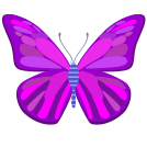 external butterfly-colored-butterfly-flat-icons-inmotus-design-3 icon