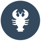 external cancer-zodiac-flat-icons-inmotus-design icon