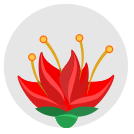 external china-flowers-of-nature-flat-icons-inmotus-design icon