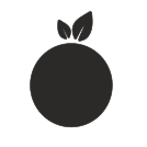 external citrus-fruits-and-vegetables-flat-icons-inmotus-design icon