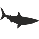 external danger-shark-flat-icons-inmotus-design-2 icon