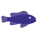 external dark-colored-fishes-flat-icons-inmotus-design icon