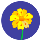 external flower-flowers-of-nature-flat-icons-inmotus-design icon