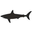 external form-shark-flat-icons-inmotus-design icon