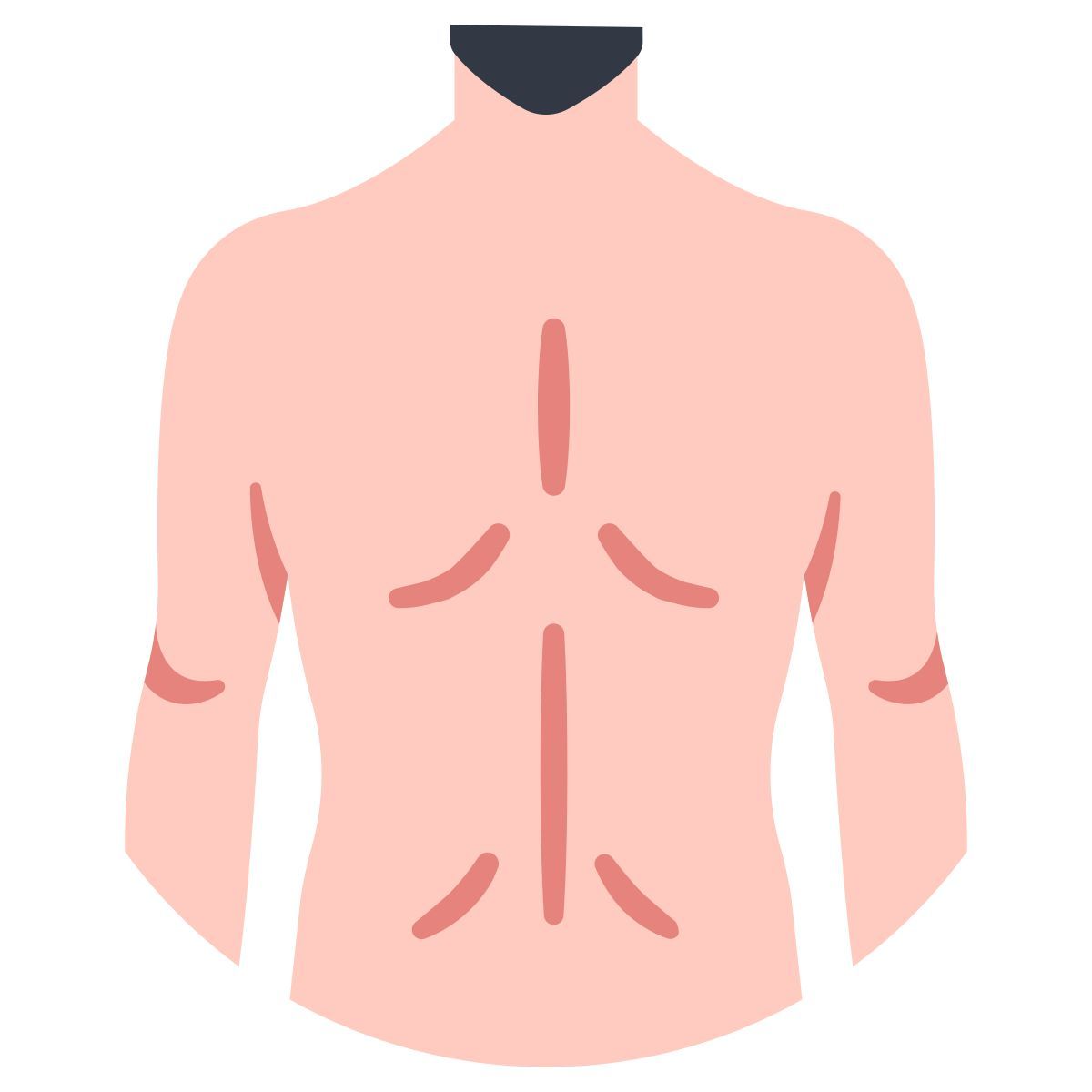 解剖学 icon