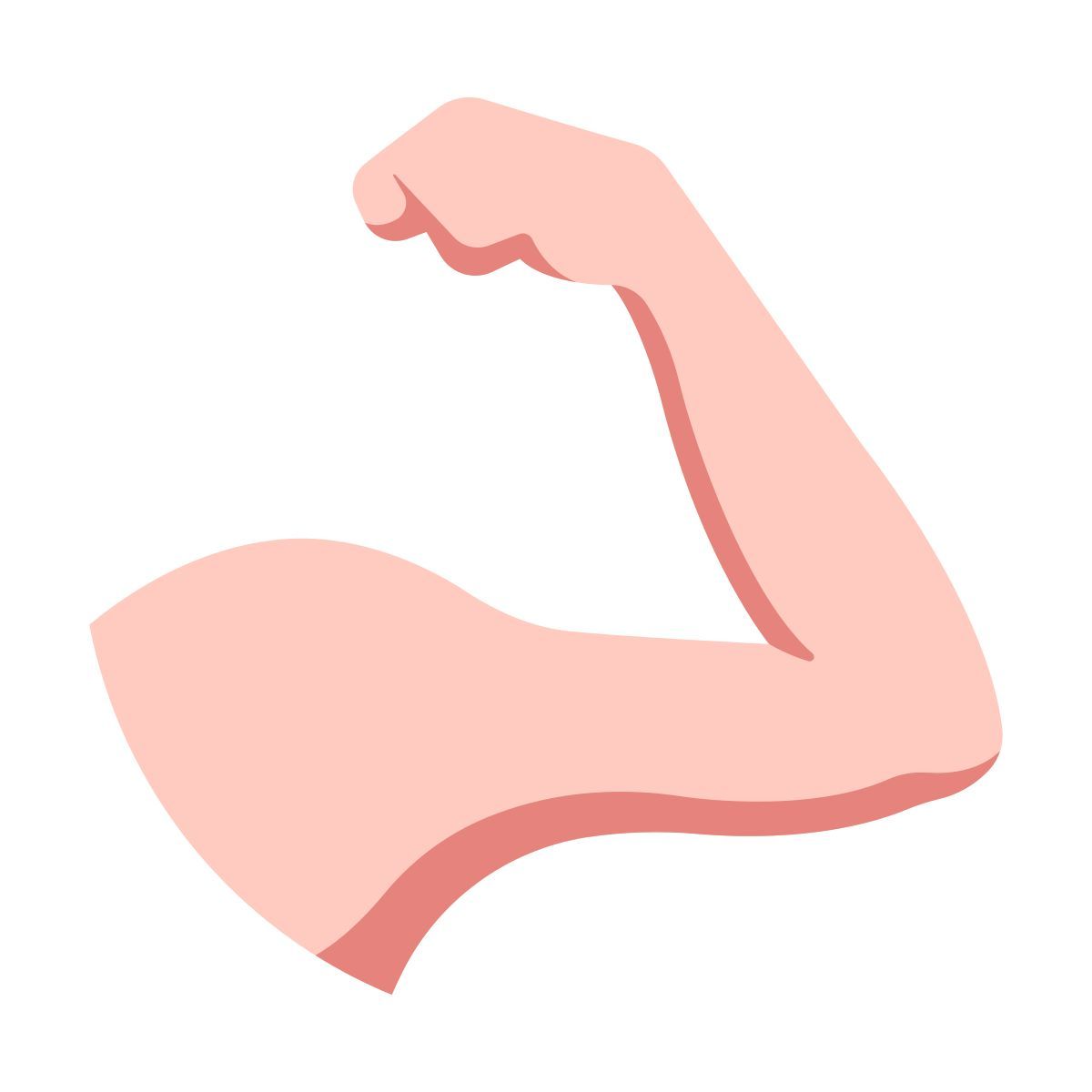 anatomy icon