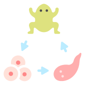external biology-types-of-science-flat-flat-icons-maxicons icon