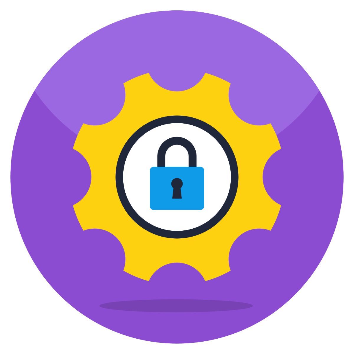 security setting icon